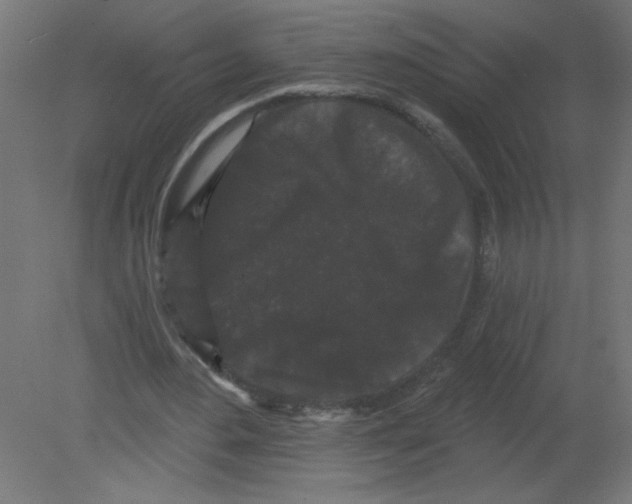 X0000080770484200701122059