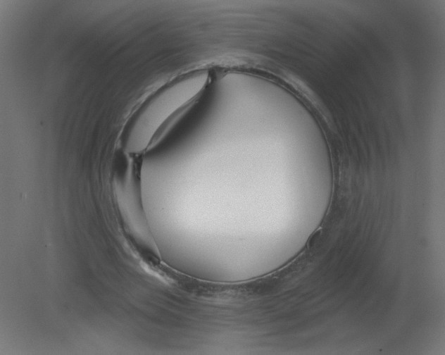X0000080770485200701122059
