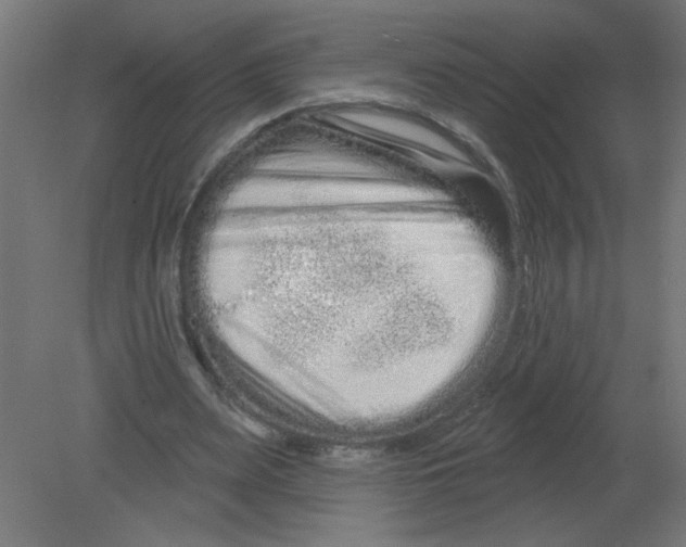 X0000080770487200701122059