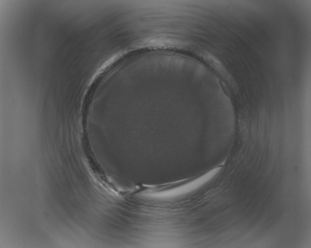X0000080770488200701122059