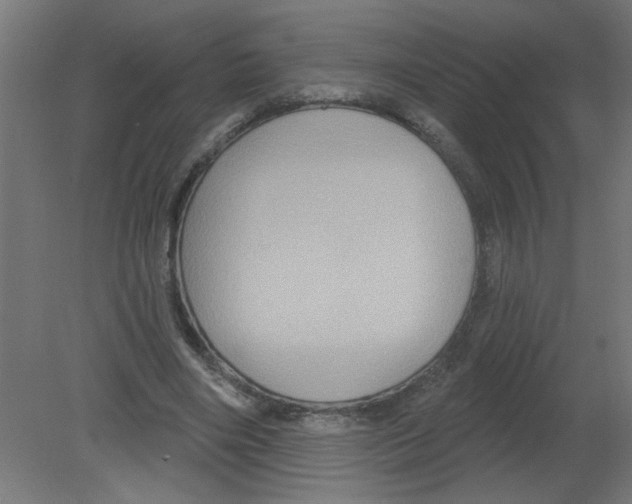 X0000080770490200701122059