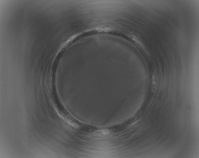 X0000080770492200701122059