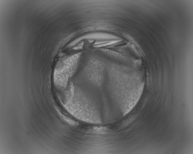 X0000080770493200701122059