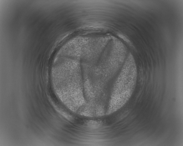 X0000080770494200701122059