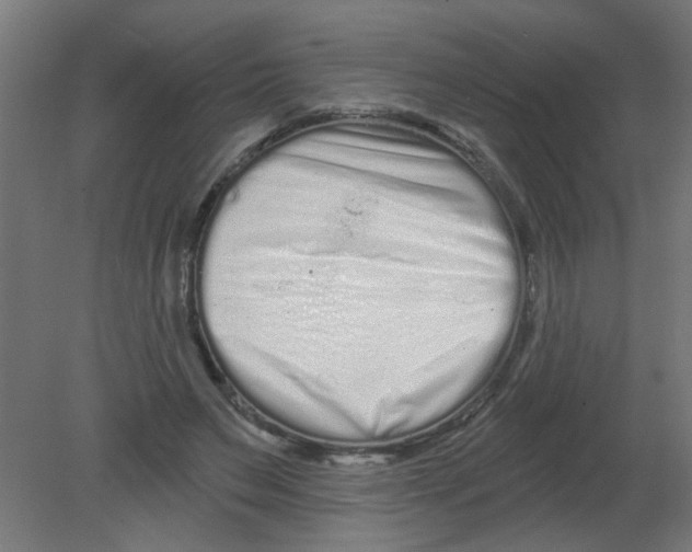 X0000080770495200701122059