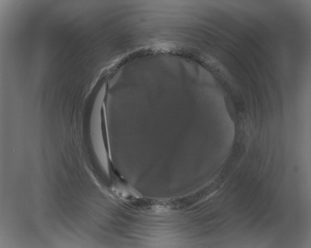 X0000080770496200701122059
