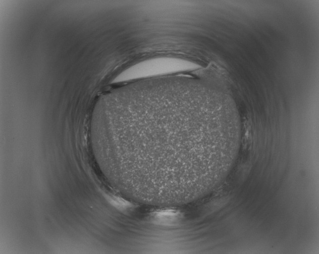 X0000080770499200701122059