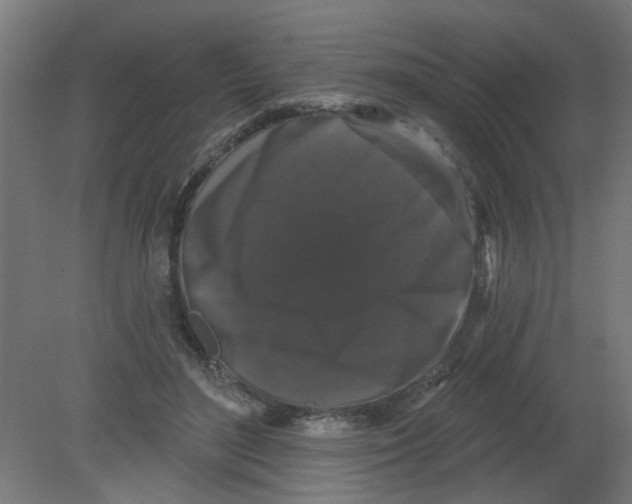 X0000080770500200701122059