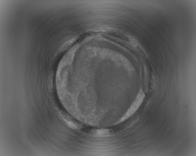 X0000080770501200701122059