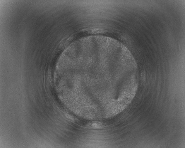 X0000080770506200701122059