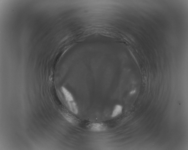 X0000080770507200701122059