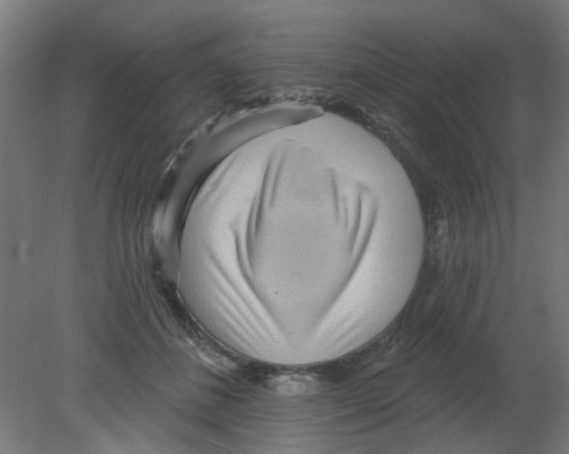 X0000080770508200701122059