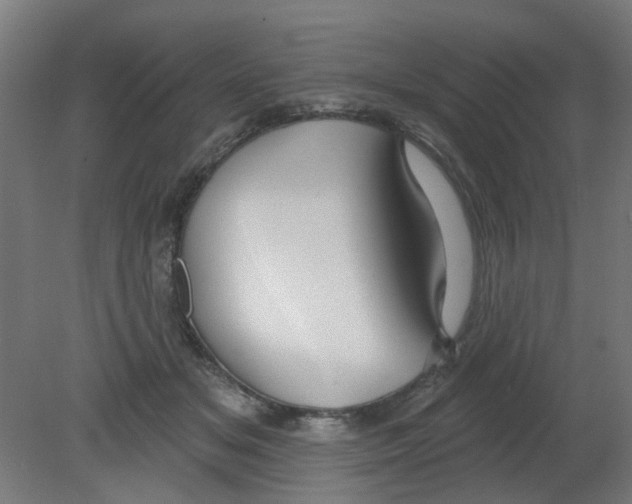 X0000080770509200701122059