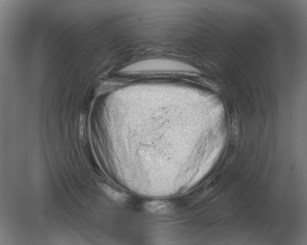 X0000080770511200701122059