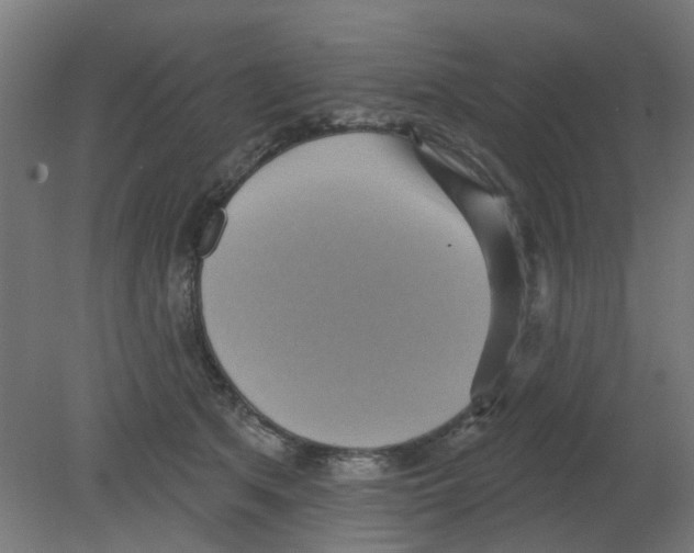 X0000080770513200701122059
