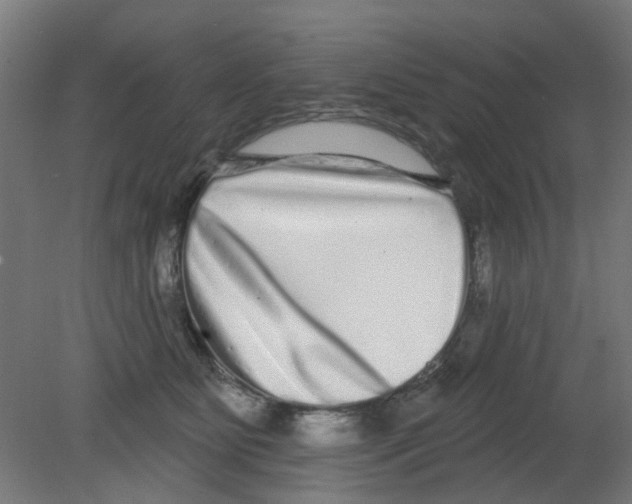 X0000080770515200701122059