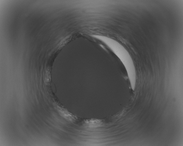 X0000080770517200701122059