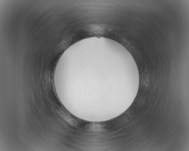 X0000080770518200701122059