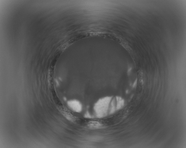 X0000080770519200701122059