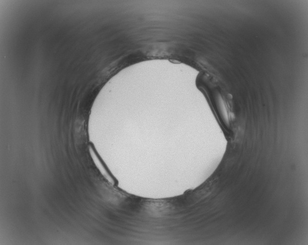 X0000080770521200701122059