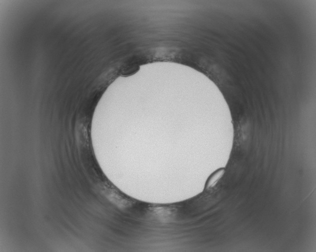 X0000080770522200701122059