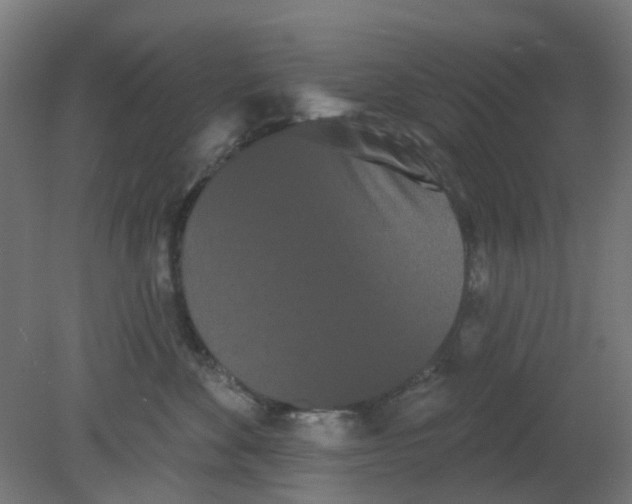 X0000080770524200701122059