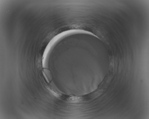 X0000080770526200701122059