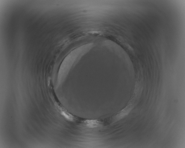 X0000080770528200701122059