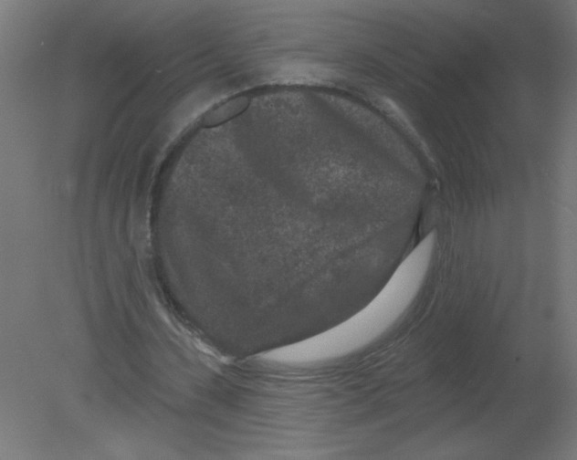 X0000080770531200701122058