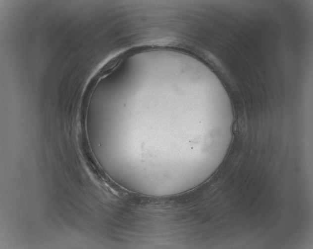 X0000080770532200701122058