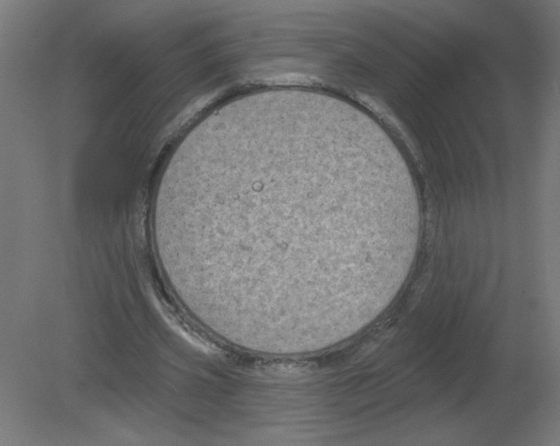 X0000080770533200701122058