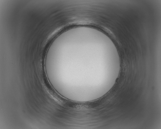 X0000080770535200701122058