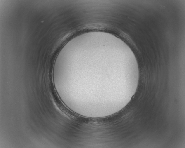 X0000080770538200701122058