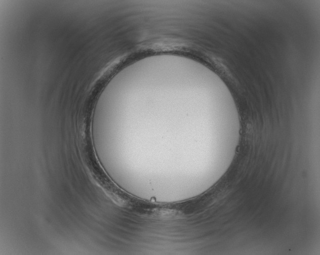 X0000080770539200701122058