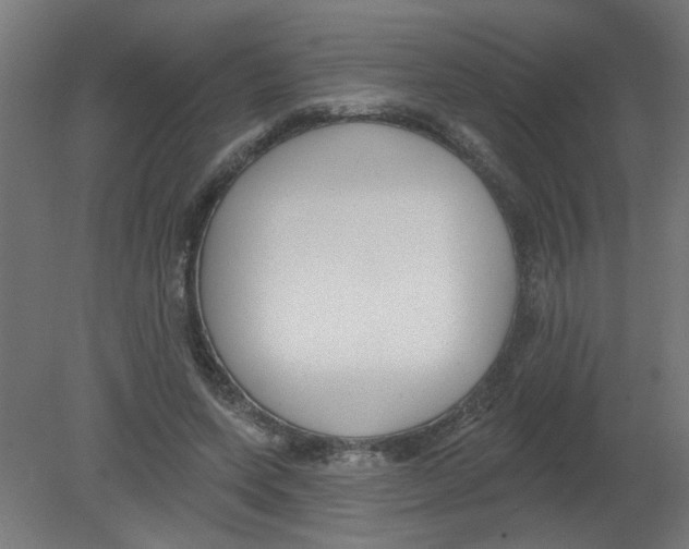 X0000080770543200701122058