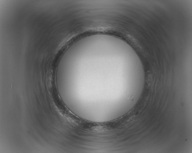 X0000080770544200701122058