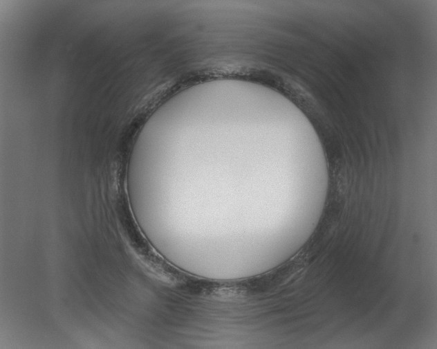 X0000080770546200701122058