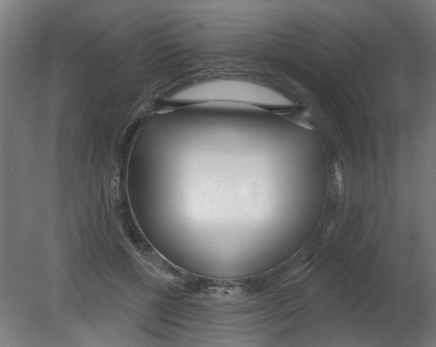 X0000080770552200701122058