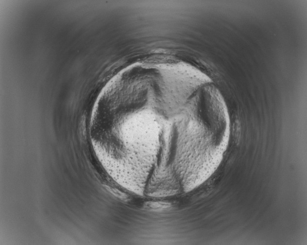 X0000080770554200701122058