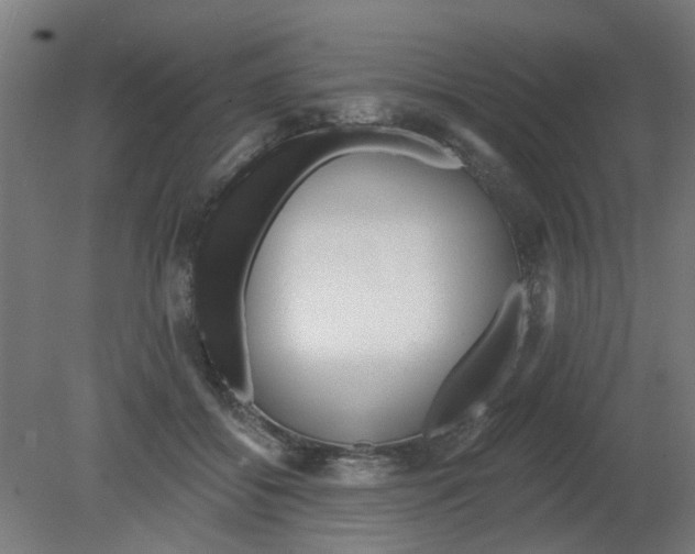 X0000080770556200701122058