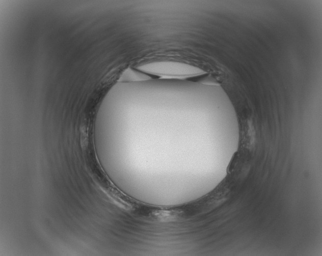 X0000080770558200701122058