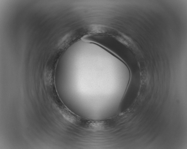 X0000080770560200701122058