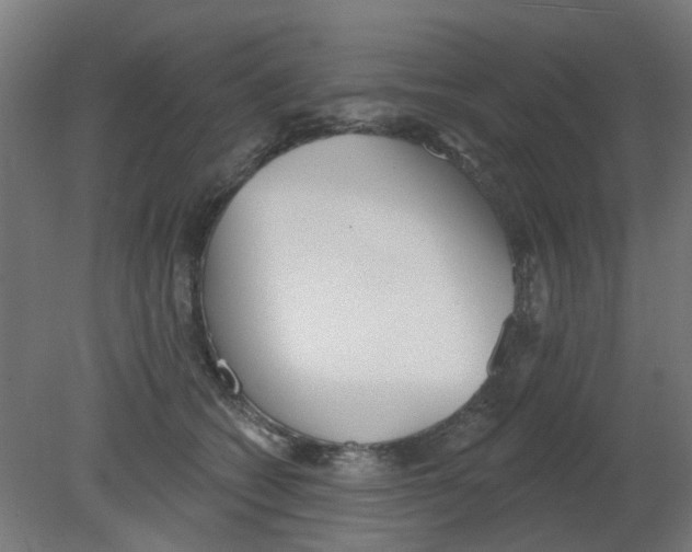 X0000080770562200701122058