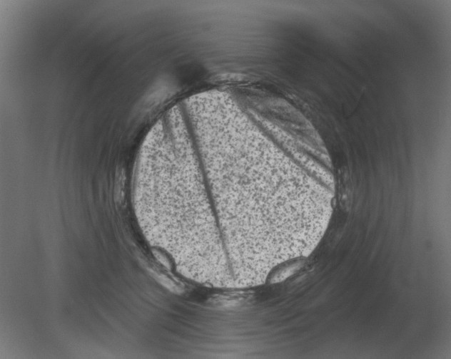 X0000080770563200701122058