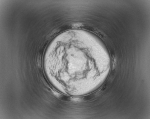 X0000080770565200701122058
