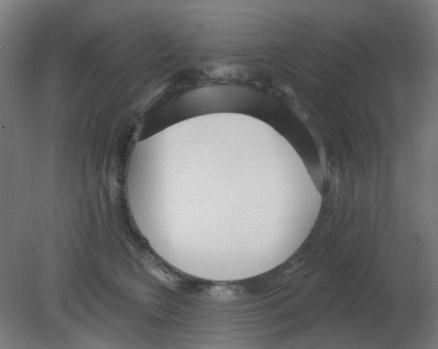 X0000080770566200701122058