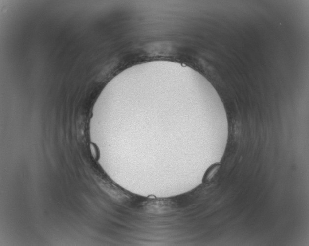 X0000080770567200701122058