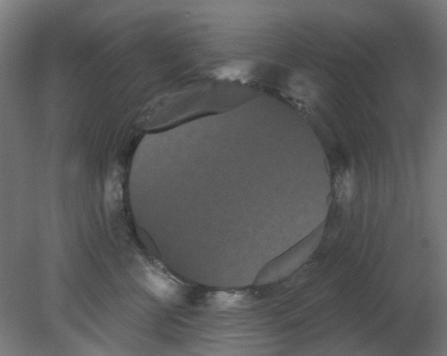 X0000080770570200701122058