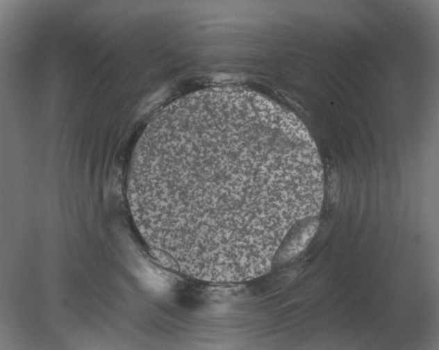 X0000080770571200701122058