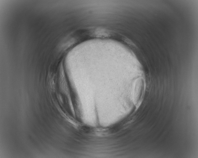 X0000080770573200701122058